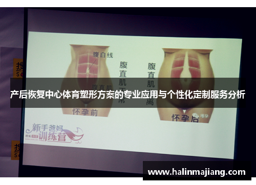 产后恢复中心体育塑形方案的专业应用与个性化定制服务分析