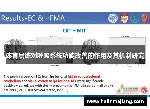 体育晨练对呼吸系统功能改善的作用及其机制研究